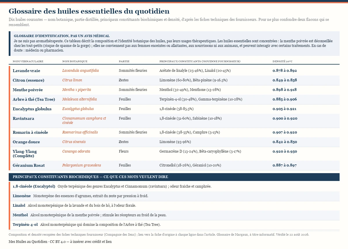 Glossaire de dix huiles essentielles du quotidien — lavande vraie, citron, menthe poivrée, arbre à thé, eucalyptus globulus, ravintsara, romarin à cinéole, orange douce, ylang-ylang et géranium rosat — avec leur nom botanique, la partie distillée, leurs principaux constituants biochimiques et leur densité.